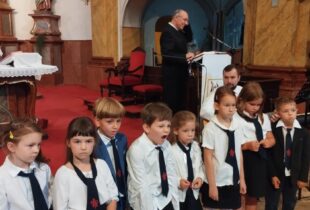 540986214_1230726908857749_8520684168910653995_n