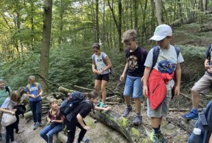 555885965_1253974856532954_5293529920503198860_n