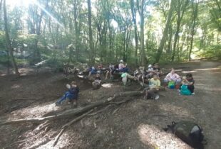 556645829_1253974526532987_3031323139977062715_n