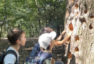 557064801_1253974873199619_3565884675271458591_n