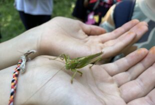 557641574_1253974709866302_886428287745688669_n